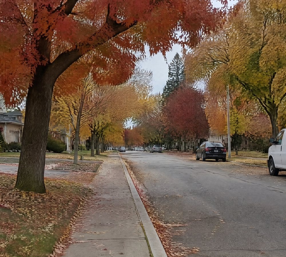 A residential street under red and orange trees